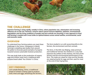 Advances in poultry production Advances in poultry production picture