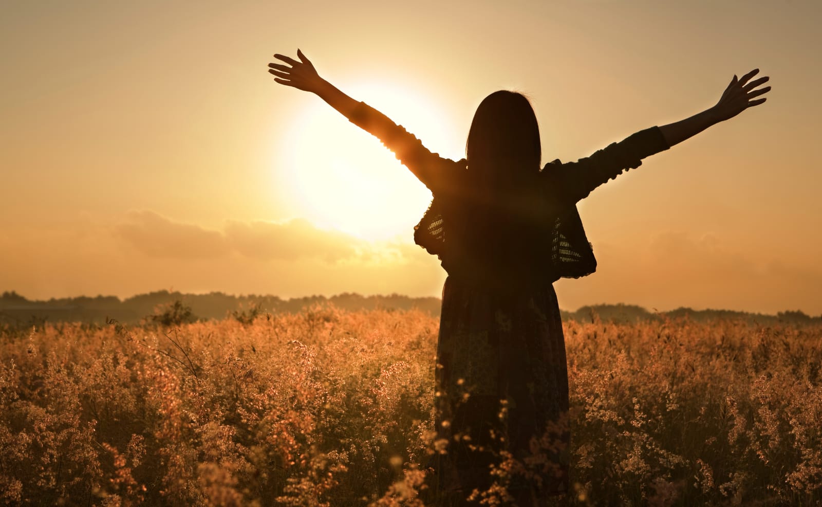 A person standing in a flowering field at sunset with their arms outstretched