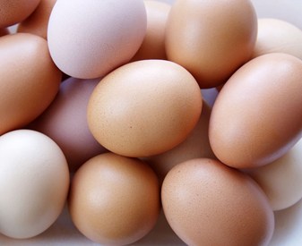 Image result for eggs