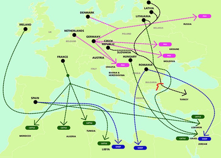 EU live export trade map