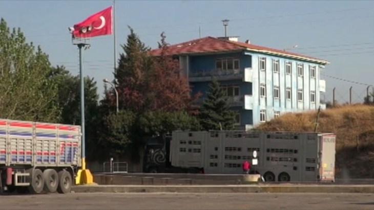 Bulls stuck at Turkish customs point Bulls stuck at Turkish customs point