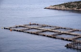 Fish farm Fish farm
