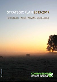 Strategic Plan