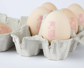 Free Range Eggs In Box
