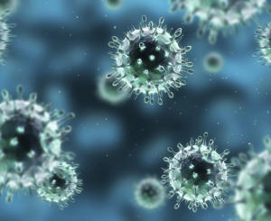 Zoonotic diseases