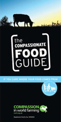 Shopping Guide Cover