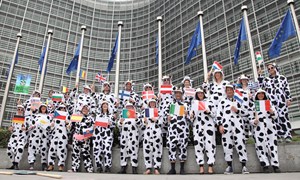 Support Better Dairy Campaign In Brussels