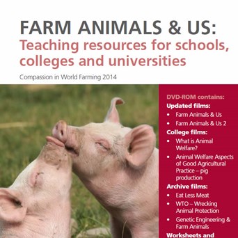 Farm Animals & Us Full Teachers Pack | Compassion in World Farming