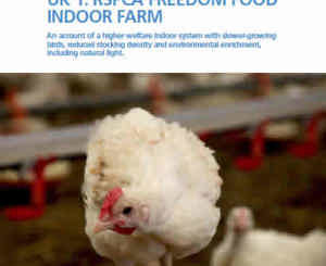 Good Agricultural Practice - Broiler production