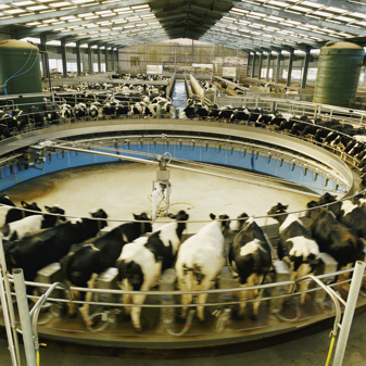 How to oppose factory farming proposals