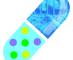 Antimicrobial resistance - 2015 briefing