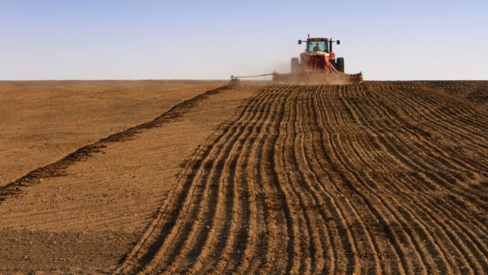 Factory farming wastes resources. Crops being harvested.