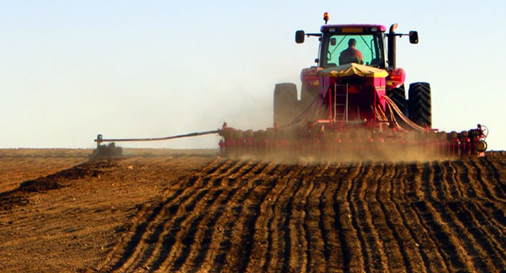 harvest