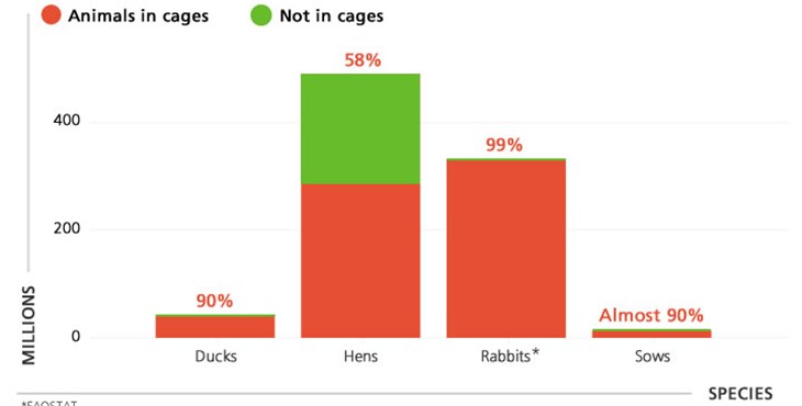 bar graph showing percentages of animal species farmed in cages
