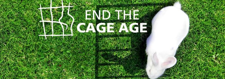 Endthecageage Cover