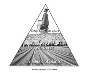Science