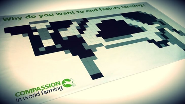 cow_poster