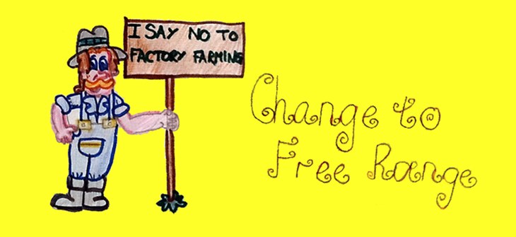 lucy_farmer_raw.info