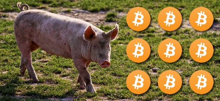 bitcoin