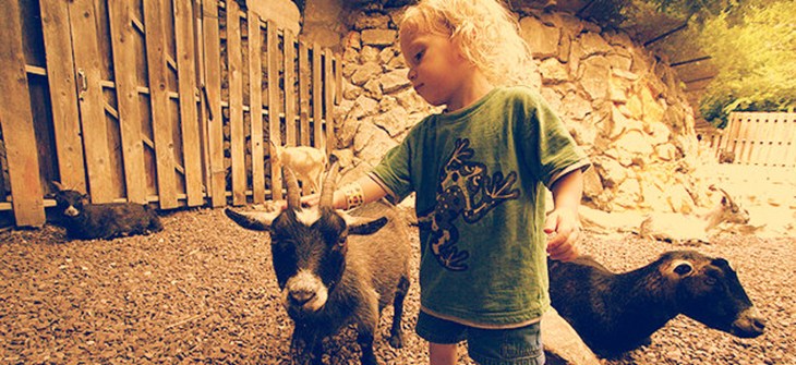 kids