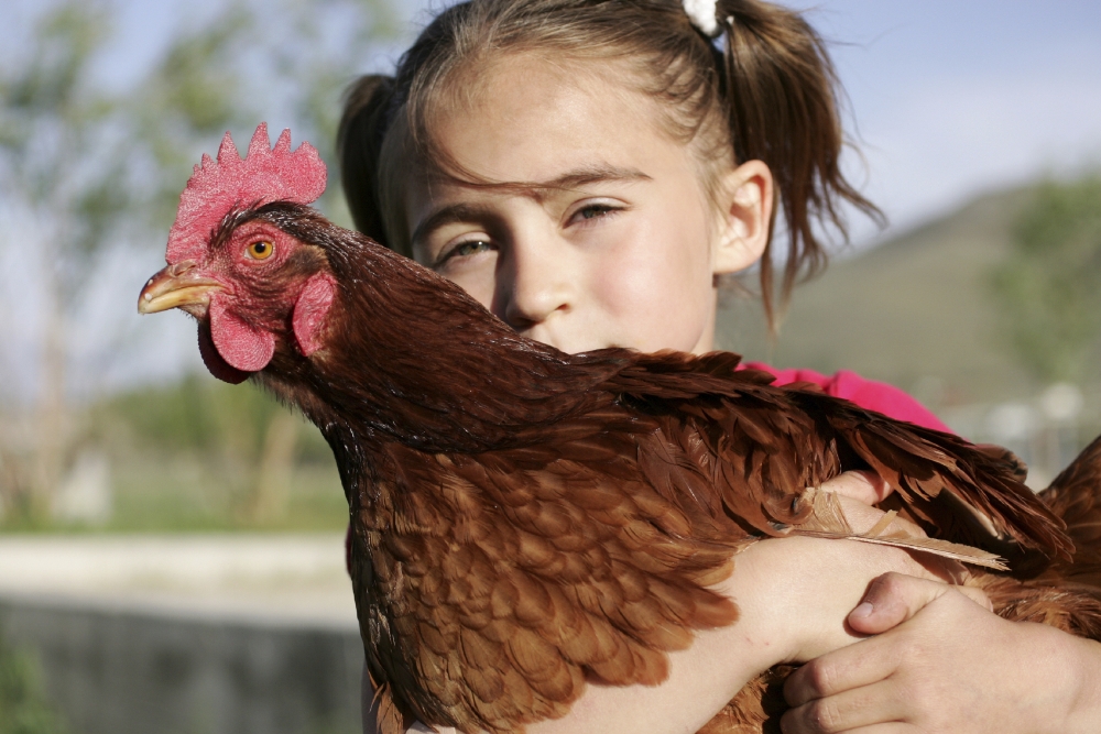 Our commitment to you