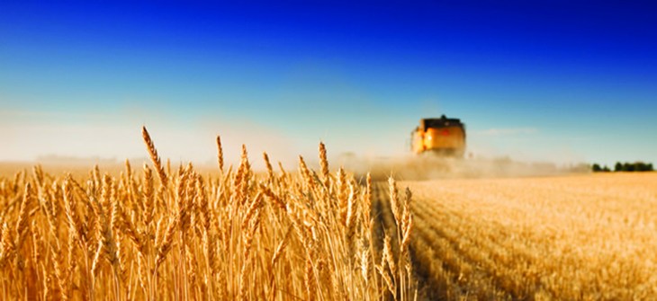 istock_4000560lrg_2