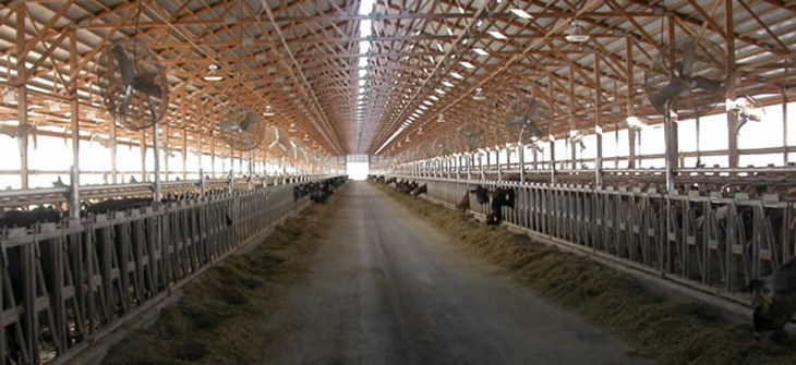 mega_dairy