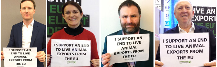 MEPs support an end to live exports