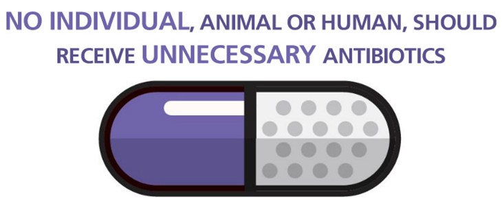 No Individual