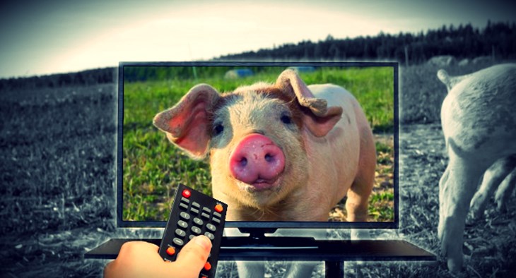 tv frame