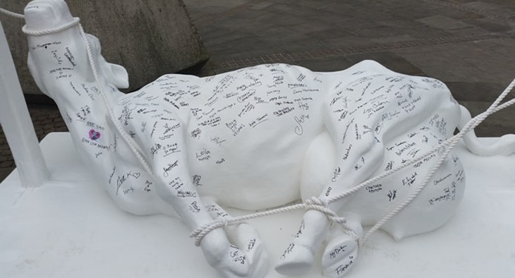 Cow tour model.jpg