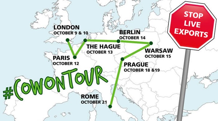 #CowOnTour visited cities in 7 European countries in an epic journey raising awareness of the cruelty of European live exports. cowtourmap website.jpg