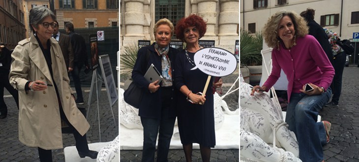 20 Italian Senators signed #CowOnTour, showing that politicians across the European Union are behind the call for a ban on live exports. Italian ministers.jpg