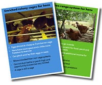 How should we treat farm animals.jpg
