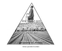 Science resources.jpg