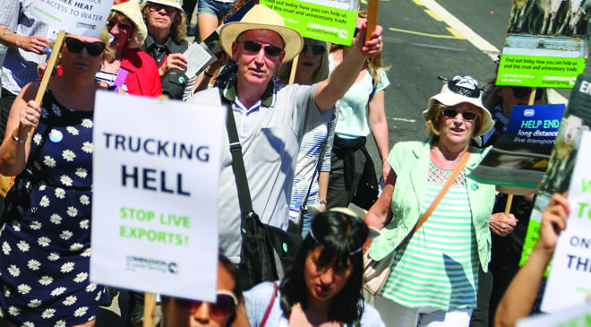 Supporter demonstration in London against live exports