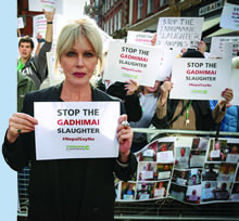 Joanna Lumley at Gadhimai protest