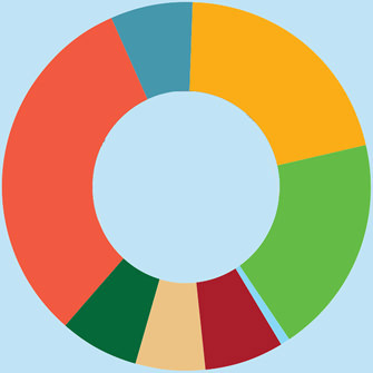 Pie chart of where Compassion receives money from