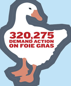 Drawing of a goose with "320,275 demand action on Foie Gras" written on its chest