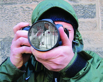 Investigator taking photo with intensively farmed pigs reflected in camera's lens