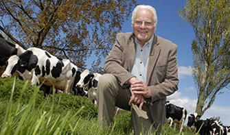 John Webster with dairy cows