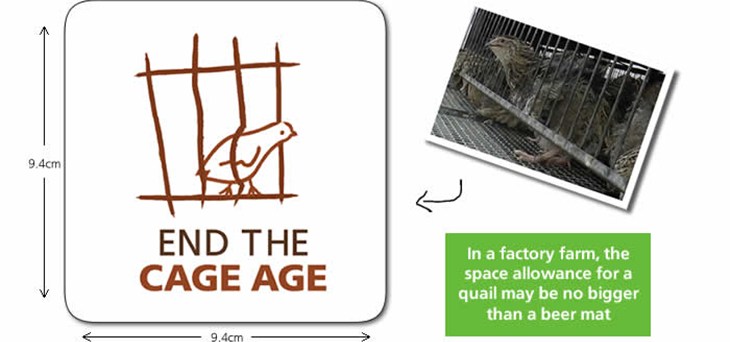 Quail beer mat.jpg