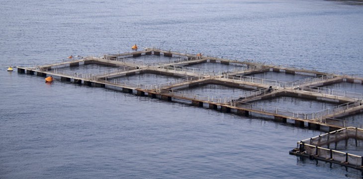 Fish farming.jpg