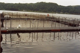 Scottish Salmon Farm 1247 for blog.jpg