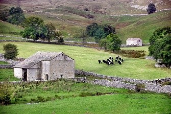 Hilltop Farm 3-335x223.jpg