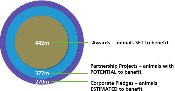Food Business programme impact graph.jpg