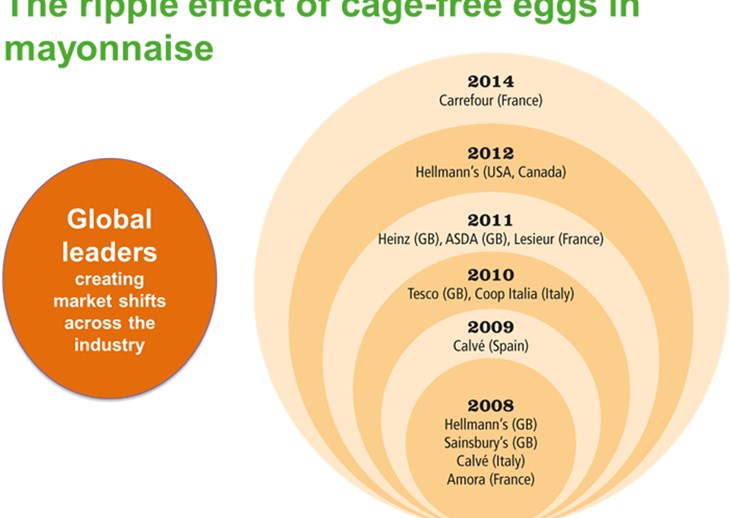 Global leaders - Knorr - 600x450.jpg