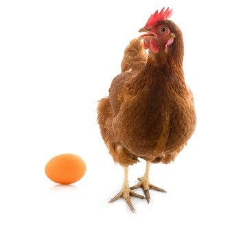 335x329-carrefour.jpg