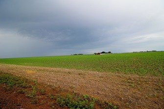 field-335x223.jpg