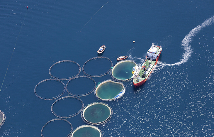 aquaculture fish farm